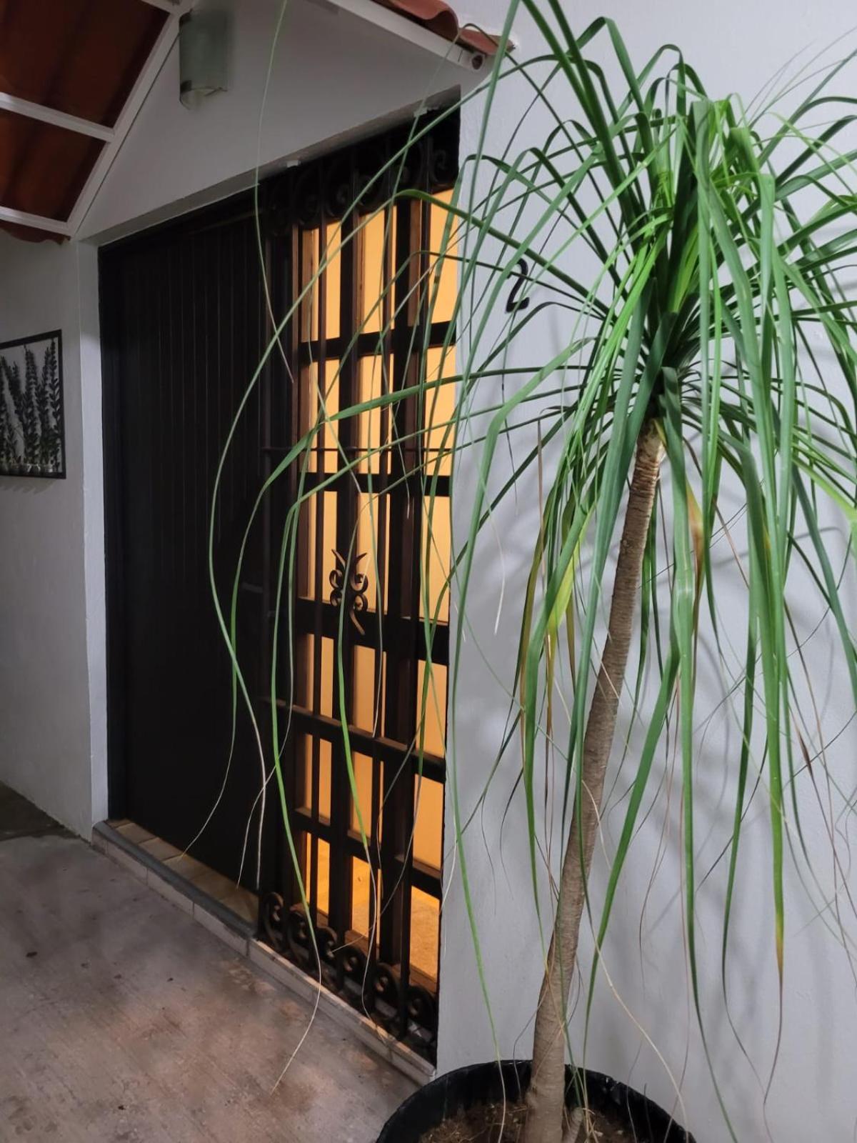 Casa B & L Centrico Departamento Apartment Oaxaca Bagian luar foto